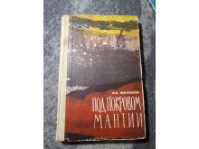 миниатюра
