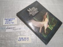 миниатюра
