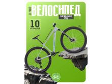миниатюра