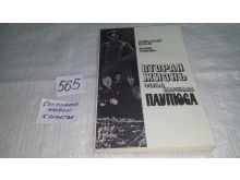 миниатюра