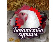 миниатюра