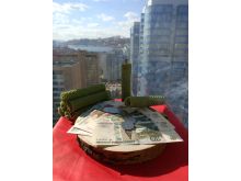 миниатюра