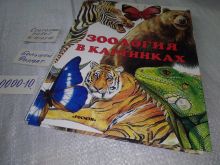 миниатюра