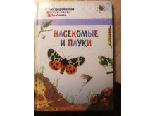 миниатюра