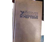 миниатюра