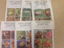 миниатюра