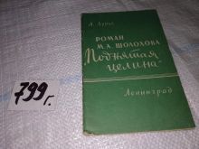 миниатюра